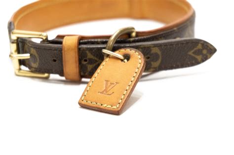 luxus hundehalsband louis vuitton|louis vuitton dog carrier.